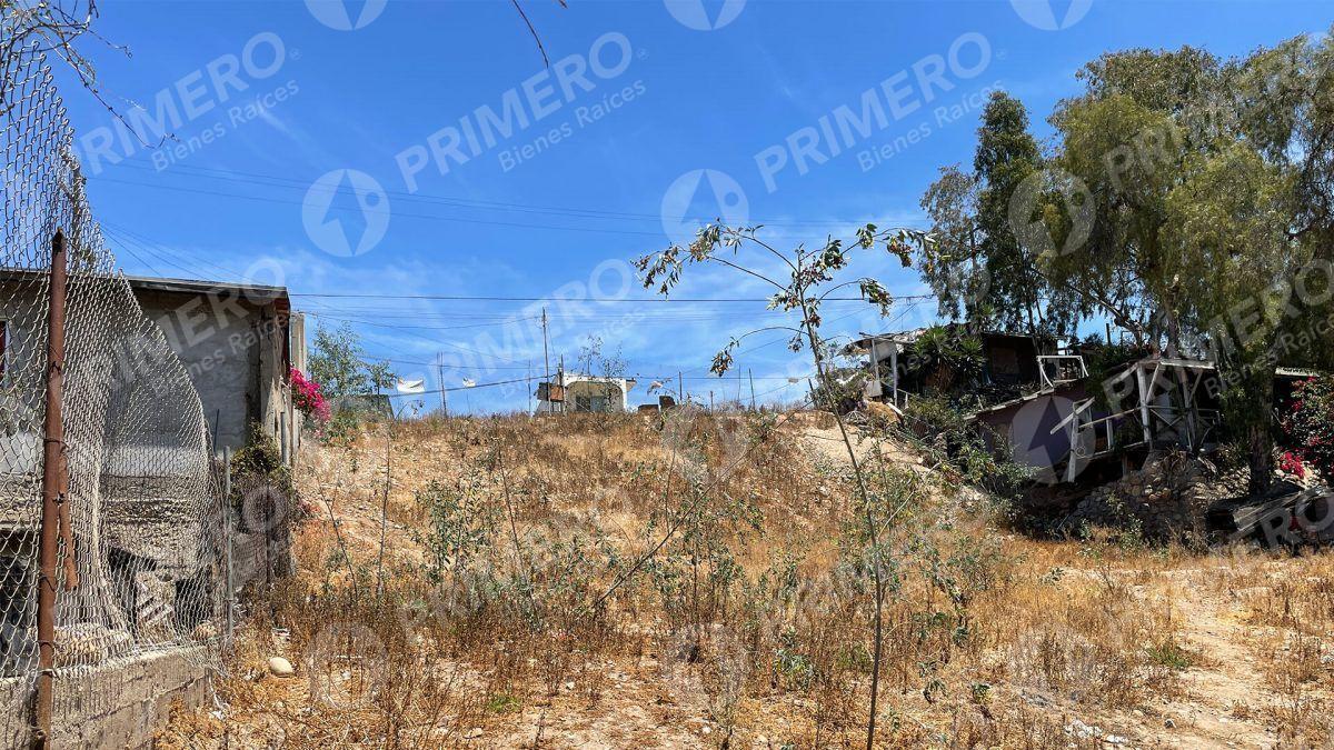 Terrenos en Venta en Colonia Alemán PMR-1771