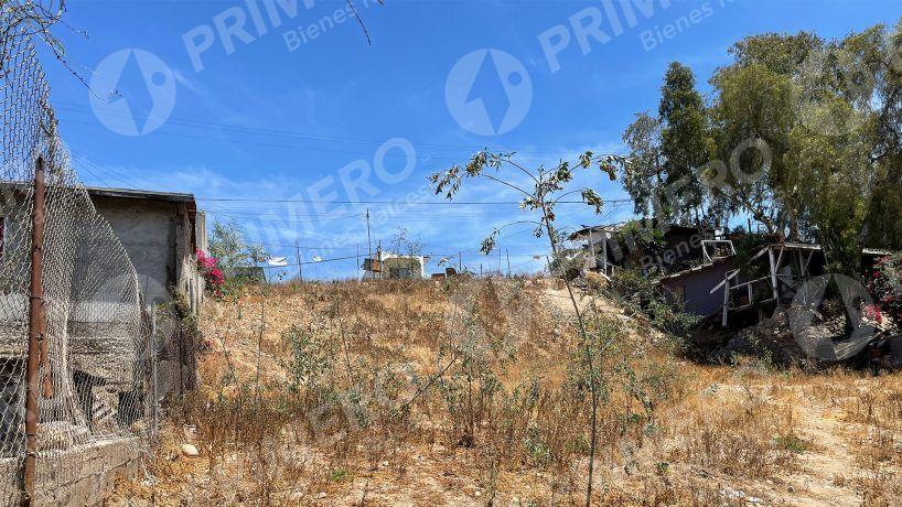 Terrenos en Venta en Colonia Alemán PMR-1771