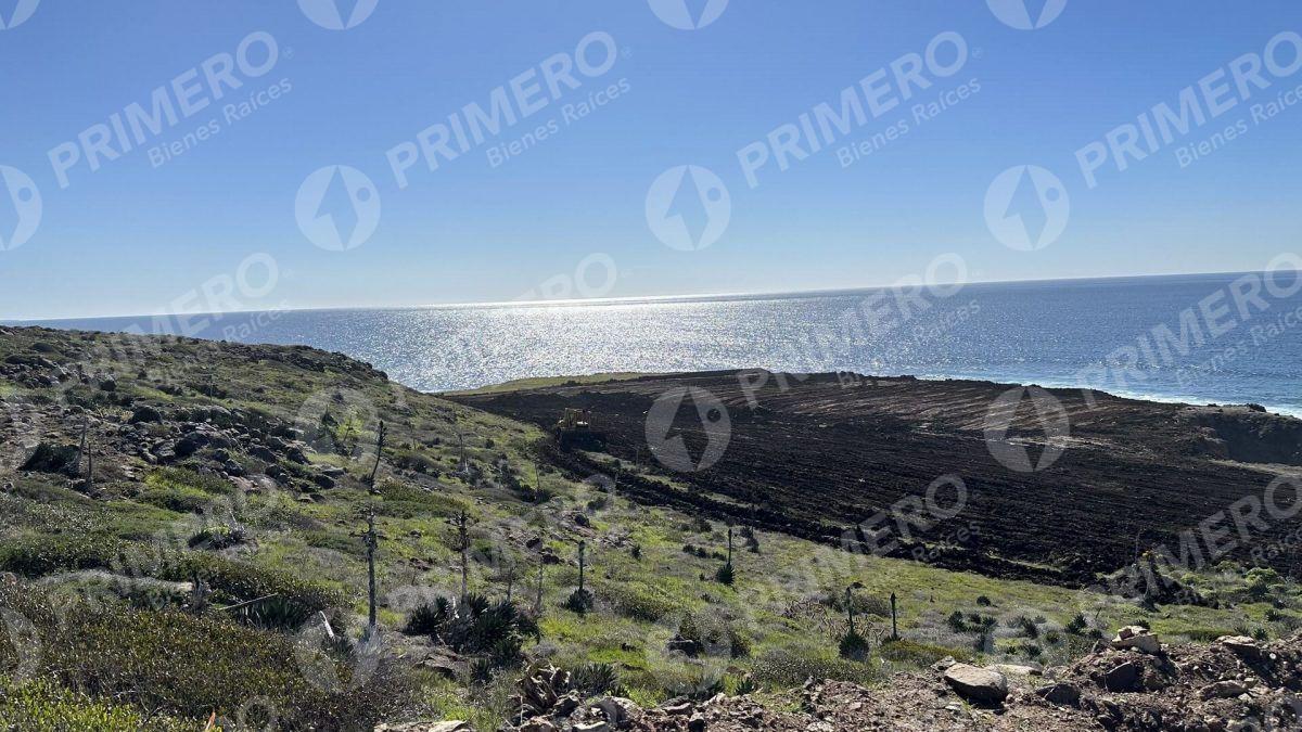 Terrenos en Venta en Chardonnay in Bajamar PMR-2049
