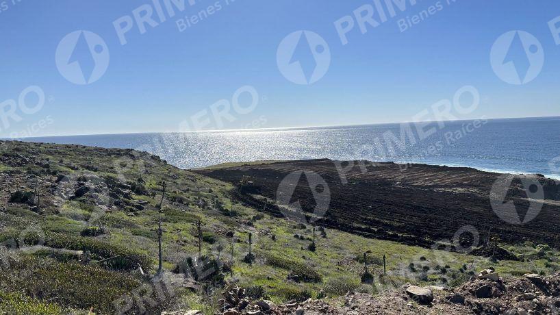Terrenos en Venta en Chardonnay in Bajamar PMR-2049