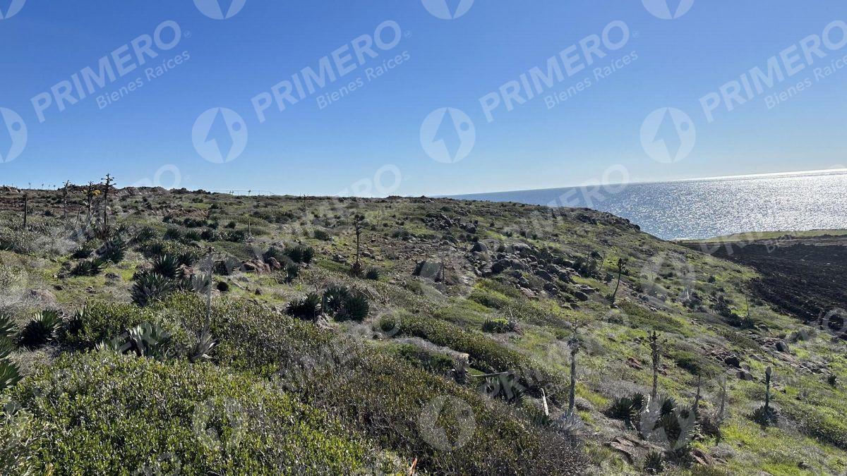 Terrenos en Venta en Chardonnay in Bajamar PMR-2049