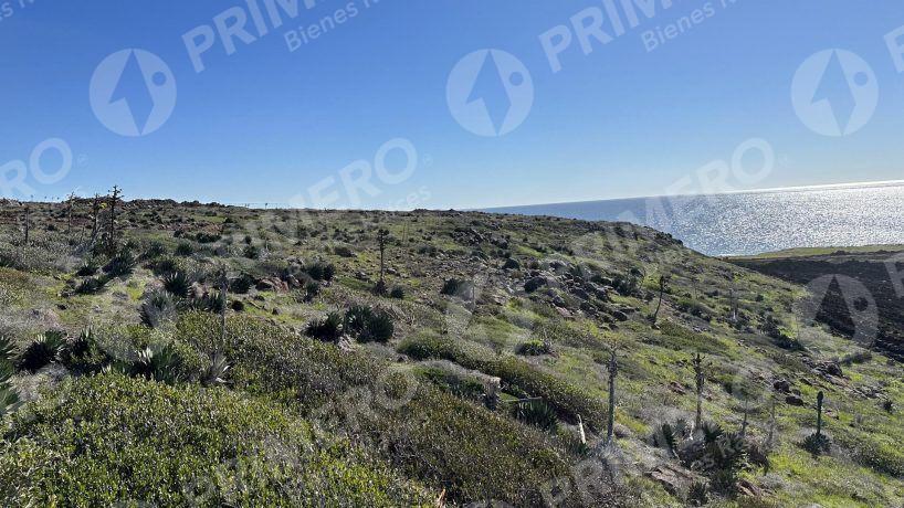 Terrenos en Venta en Chardonnay in Bajamar PMR-2049