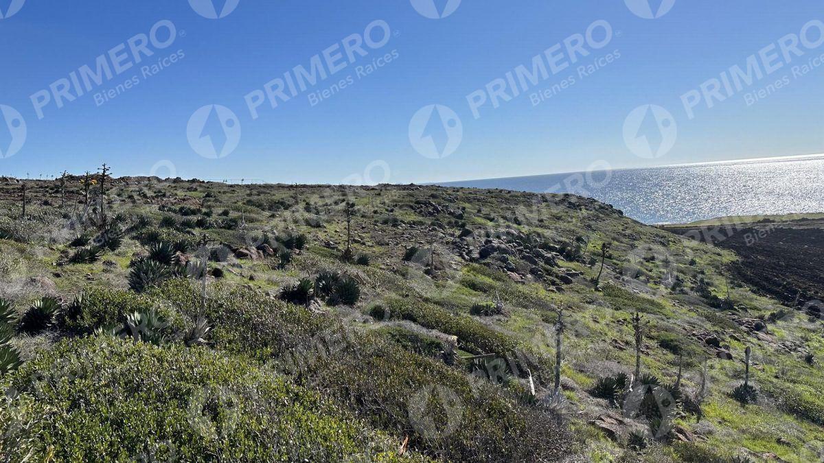 Terrenos en Venta en Chardonnay in Bajamar PMR-2049