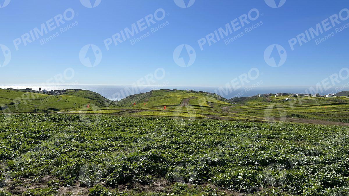 Terrenos en Venta en Hacienda Calafia PMR-2050