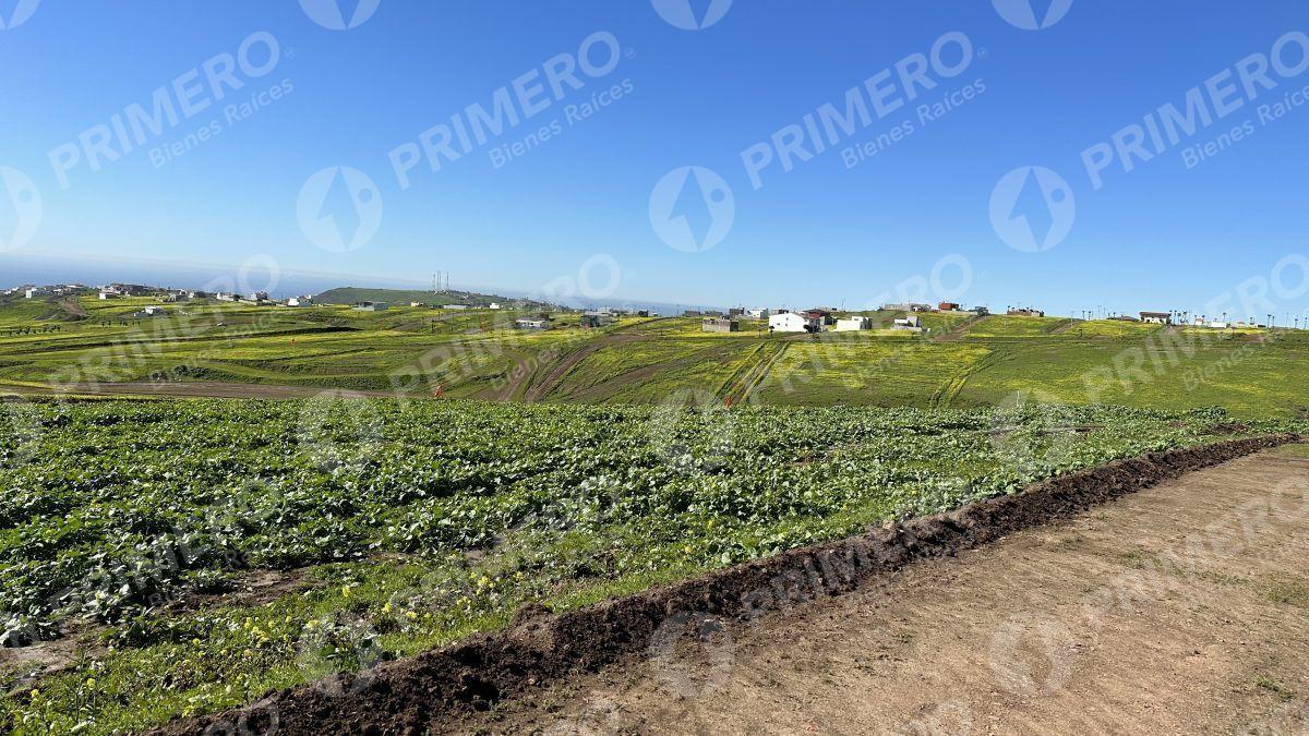 Terrenos en Venta en Hacienda Calafia PMR-2050