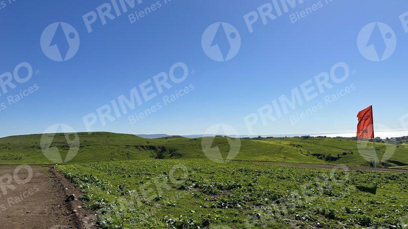 Terrenos en Venta en Hacienda Calafia PMR-2050