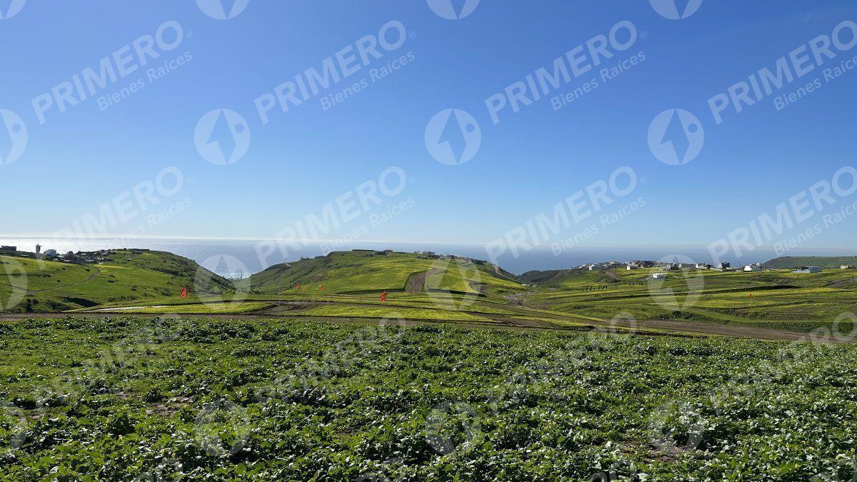 Terrenos en Venta en Hacienda Calafia PMR-2050