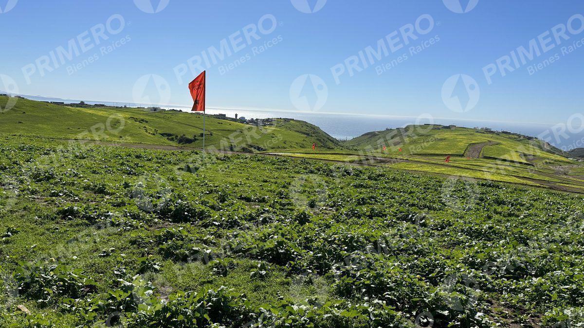 Terrenos en Venta en Hacienda Calafia PMR-2050