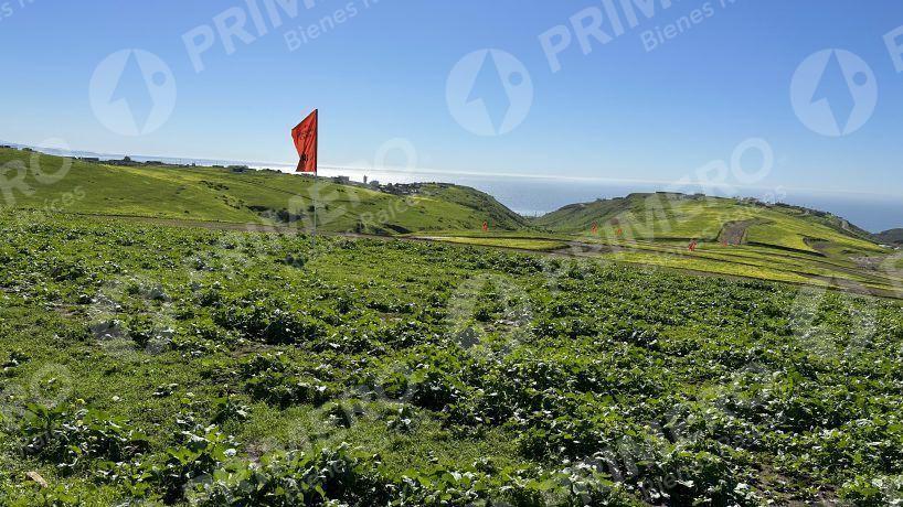 Terrenos en Venta en Hacienda Calafia PMR-2050