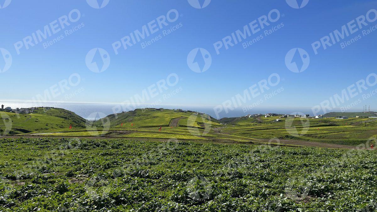 Terrenos en Venta en Hacienda Calafia PMR-2050