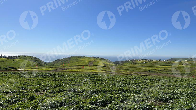 Terrenos en Venta en Hacienda Calafia PMR-2050