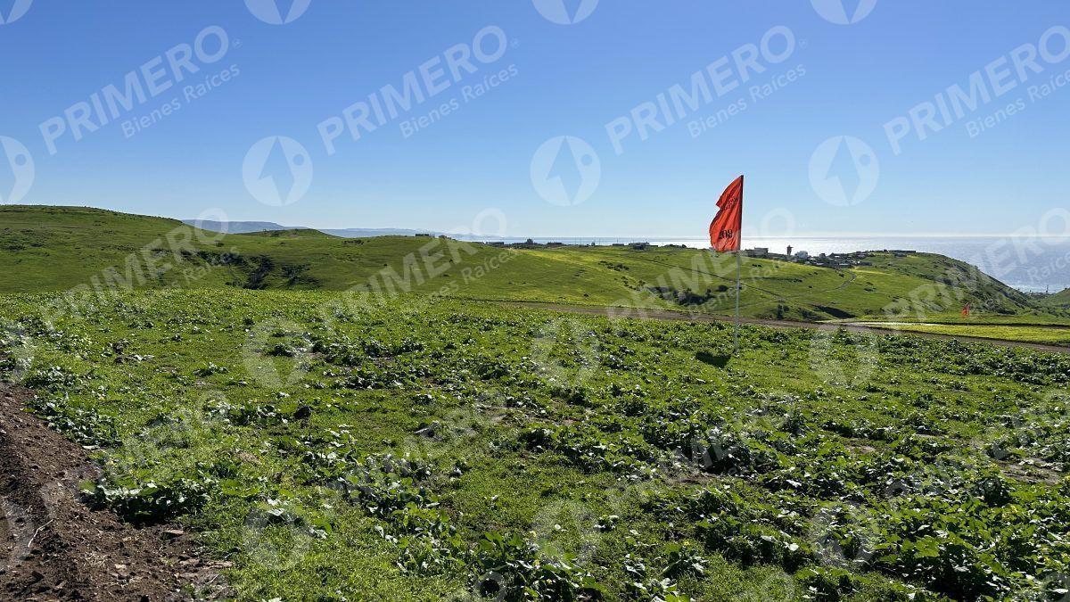 Terrenos en Venta en Hacienda Calafia PMR-2050