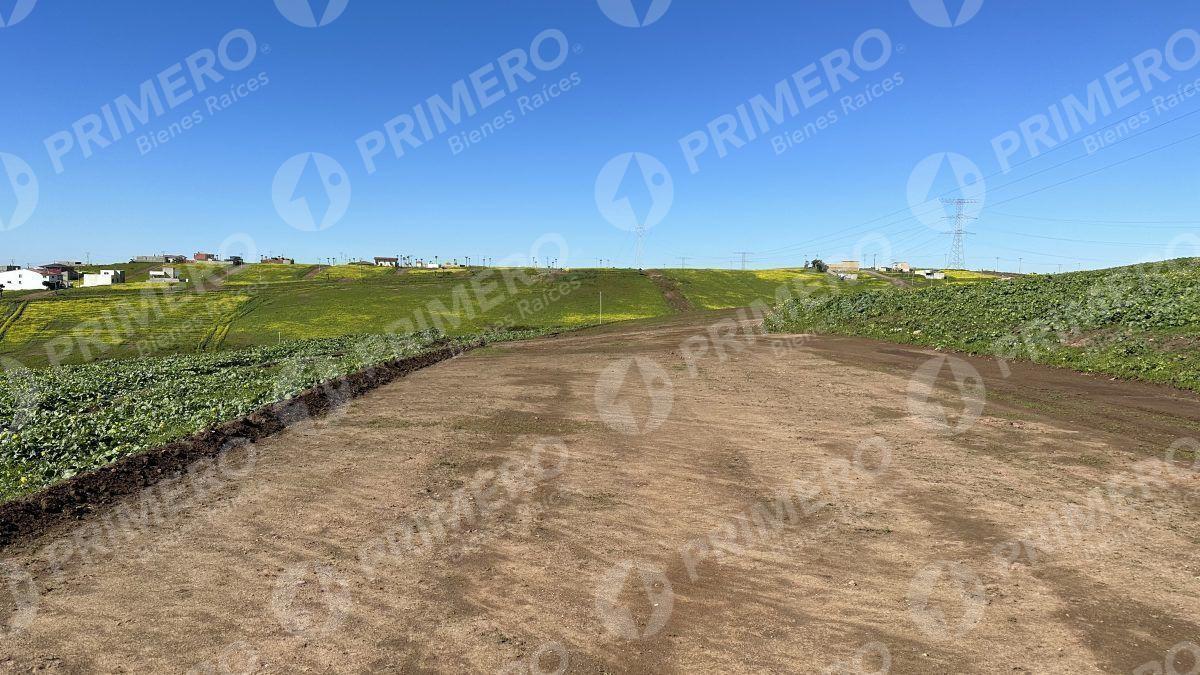 Terrenos en Venta en Hacienda Calafia PMR-2050