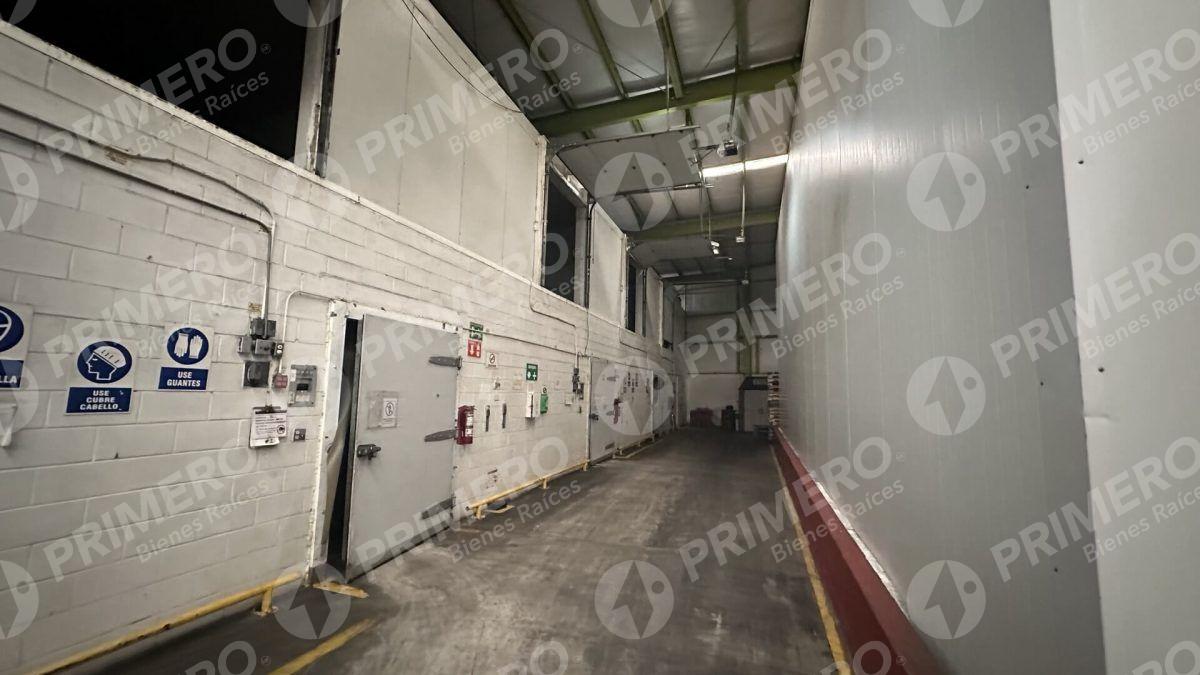 Bodegas en Renta en Vía Rápida PMR-2115