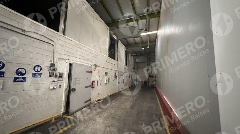 Bodegas en Renta en Vía Rápida PMR-2115