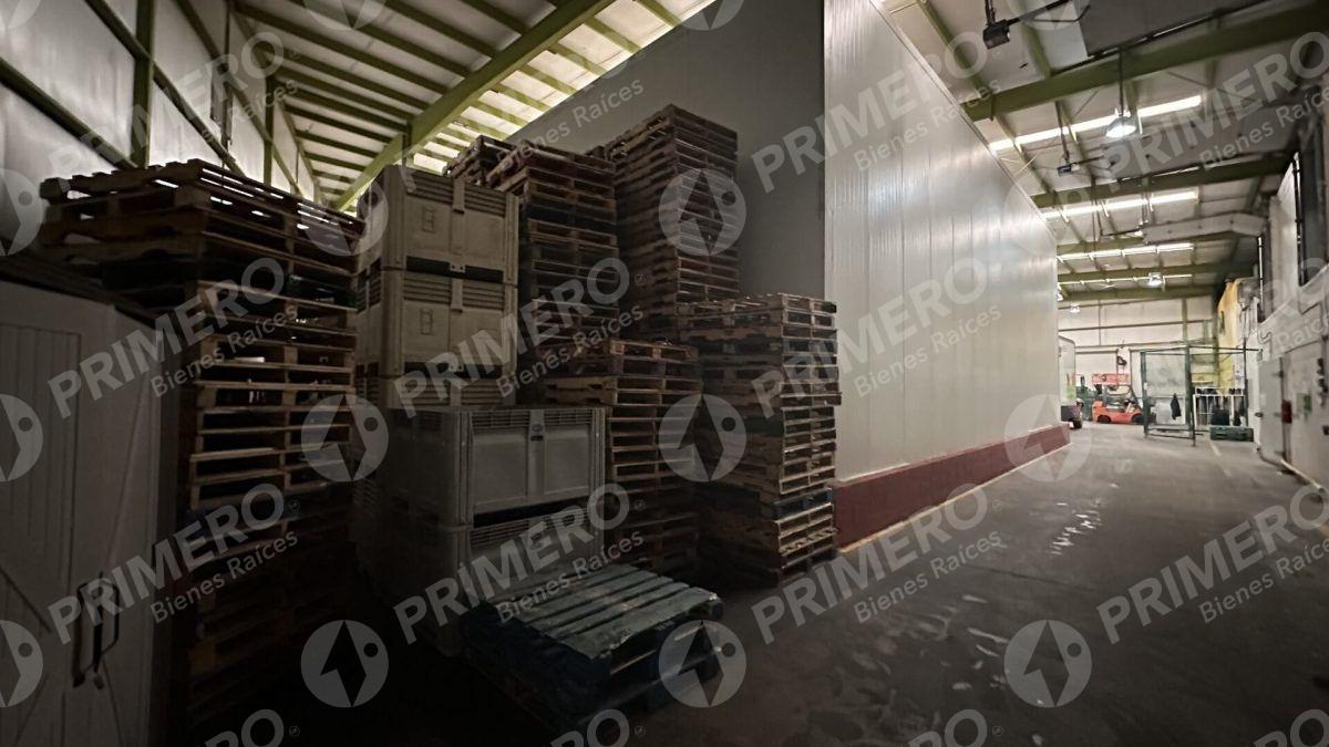 Bodegas en Renta en Vía Rápida PMR-2115