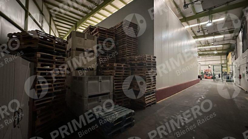 Bodegas en Renta en Vía Rápida PMR-2115