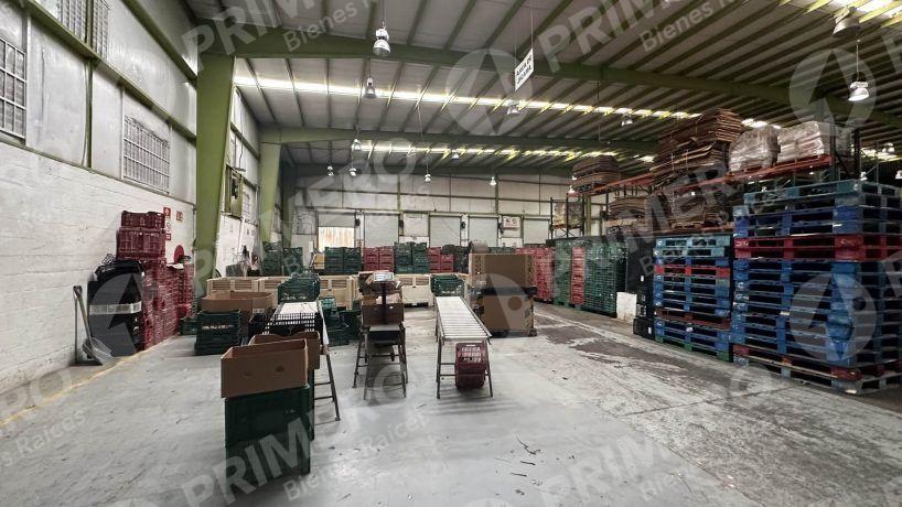 Bodegas en Renta en Vía Rápida PMR-2115