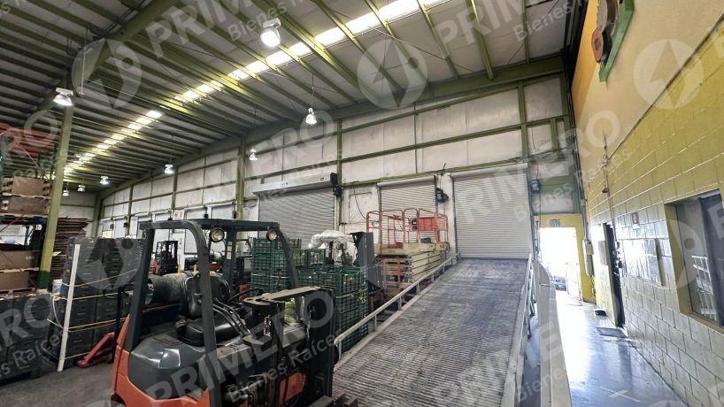 Bodegas en Renta en Vía Rápida PMR-2115