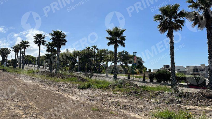 Terrenos en Venta en Costa Real PMR-2142