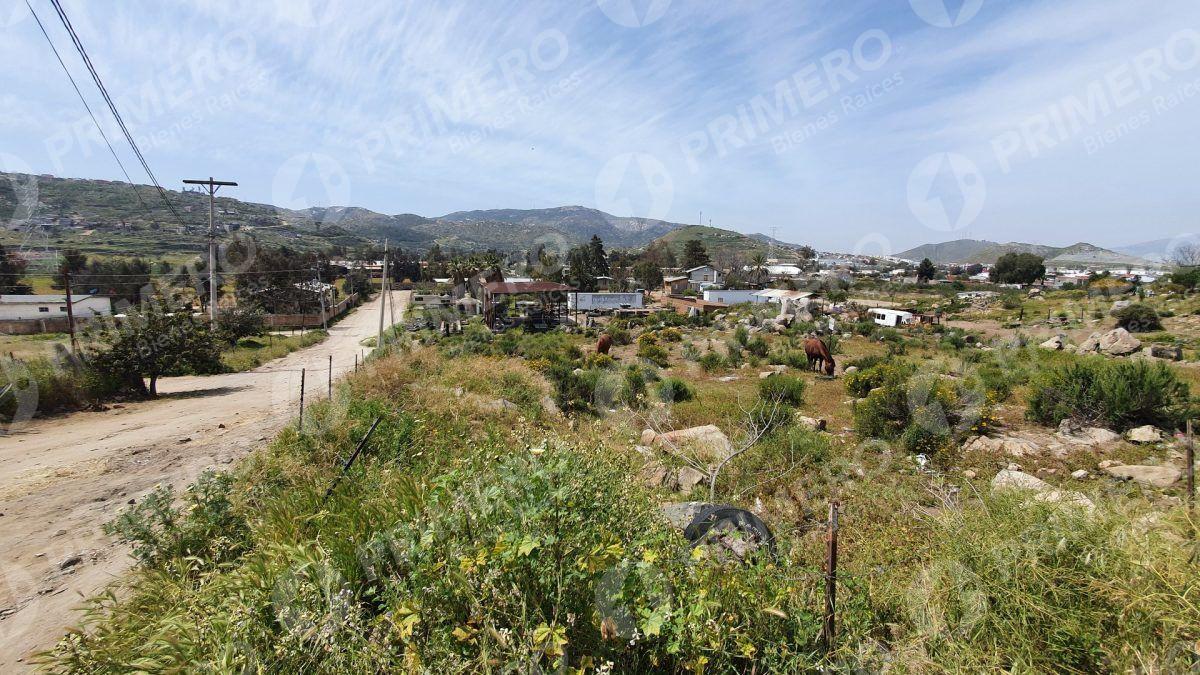 Terrenos en Renta en Tecate PMR-2166