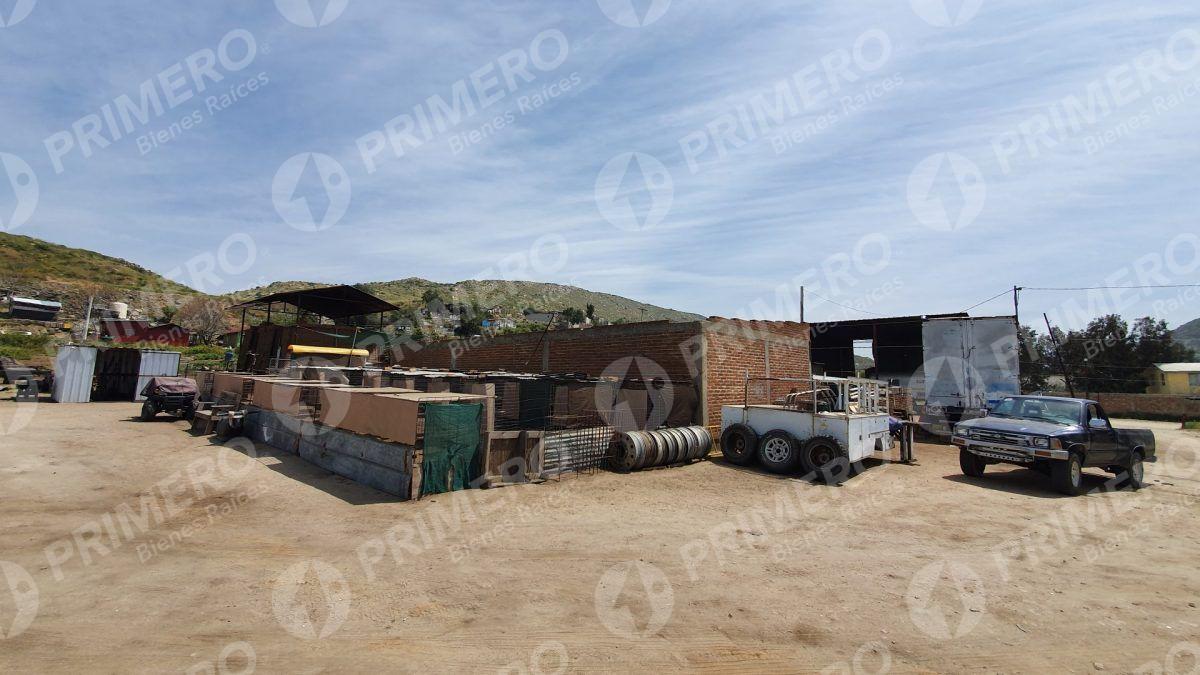 Terrenos en Renta en Tecate PMR-2166