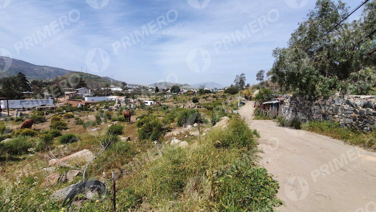 Terrenos en Renta en Tecate PMR-2166