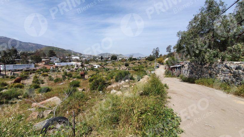Terrenos en Renta en Tecate PMR-2166