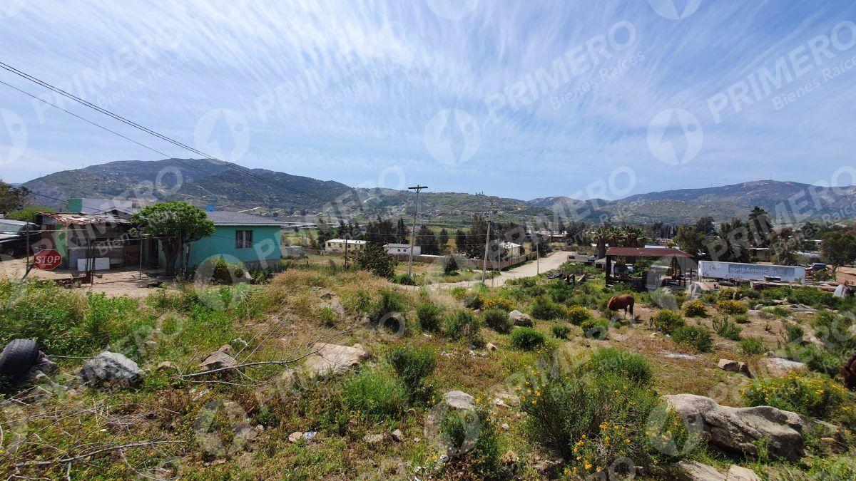 Terrenos en Renta en Tecate PMR-2166