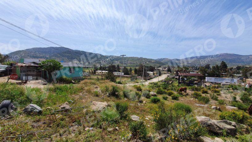Terrenos en Renta en Tecate PMR-2166