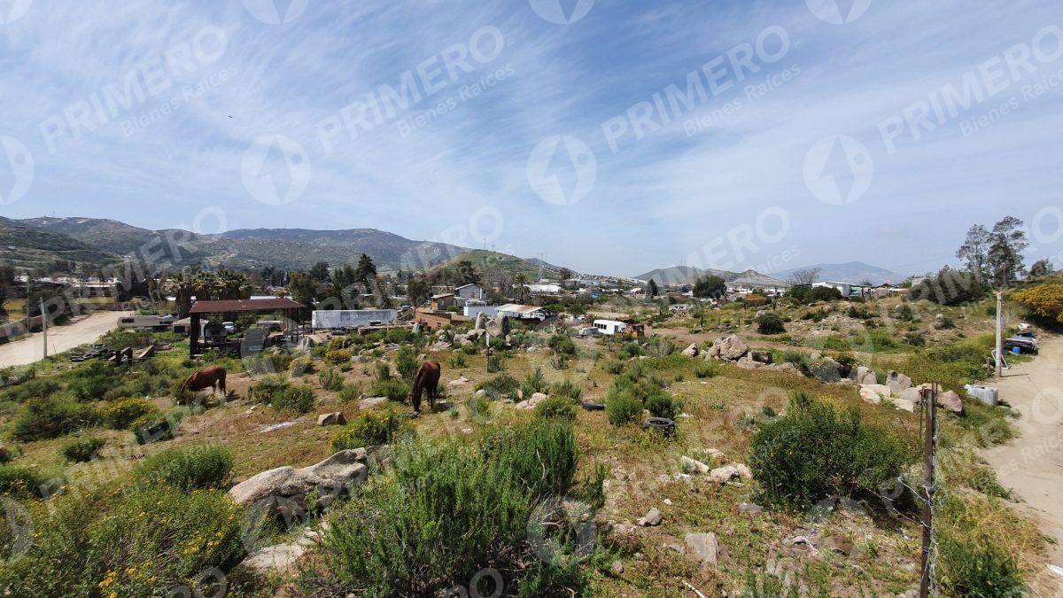 Terrenos en Renta en Tecate PMR-2166