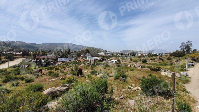 Terrenos en Renta en Tecate PMR-2166