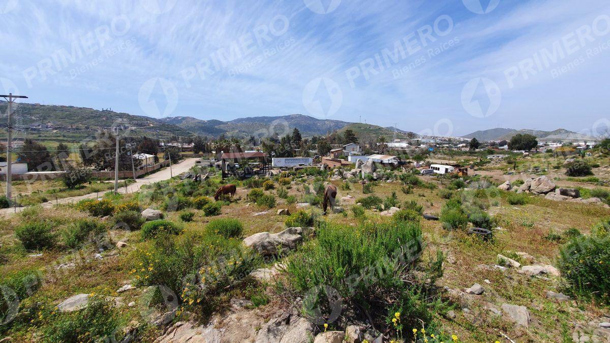 Terrenos en Renta en Tecate PMR-2166