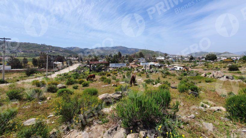 Terrenos en Renta en Tecate PMR-2166