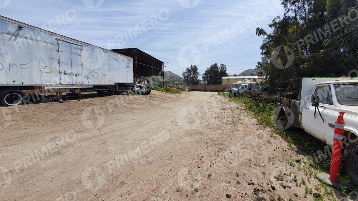 Terrenos en Renta en Tecate PMR-2166