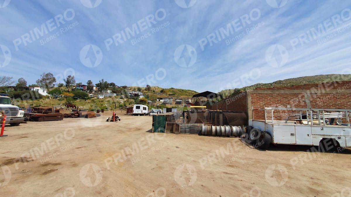 Terrenos en Renta en Tecate PMR-2166