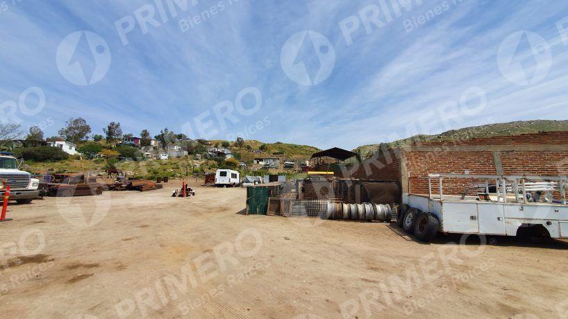 Terrenos en Renta en Tecate PMR-2166