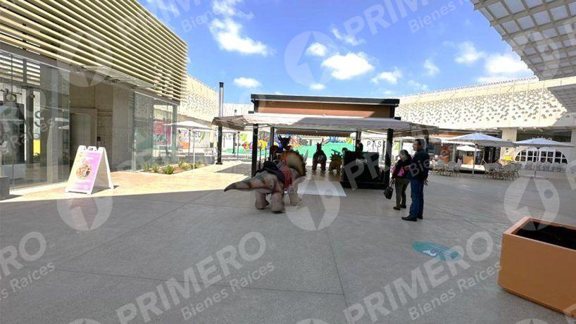 Locales en Renta en Paseo del Parque PMR-2435