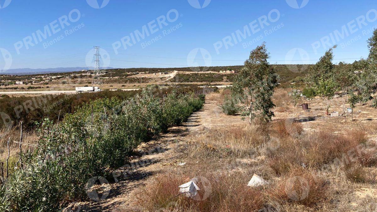 Rancho en Venta en El Hongo PMR-2438