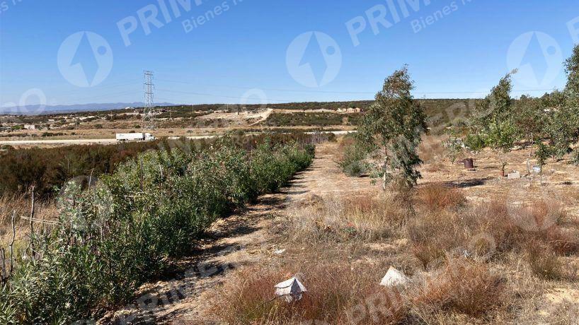 Rancho en Venta en El Hongo PMR-2438