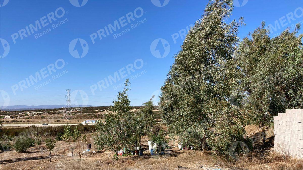 Rancho en Venta en El Hongo PMR-2438