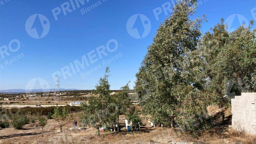 Rancho en Venta en El Hongo PMR-2438