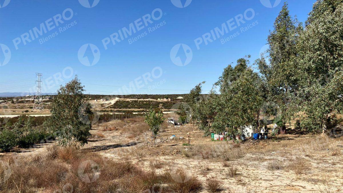 Rancho en Venta en El Hongo PMR-2438
