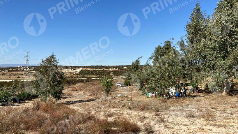 Rancho en Venta en El Hongo PMR-2438