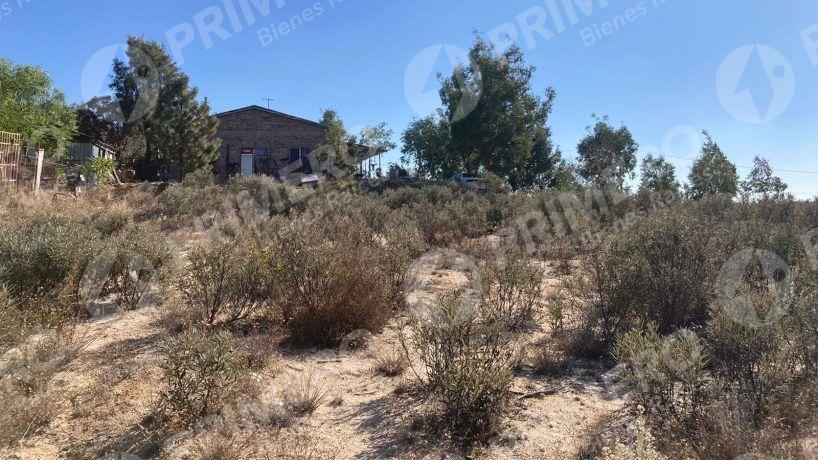 Rancho en Venta en El Hongo PMR-2438