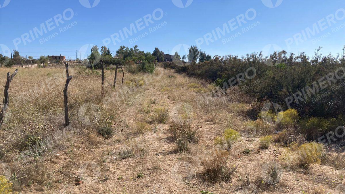 Rancho en Venta en El Hongo PMR-2438