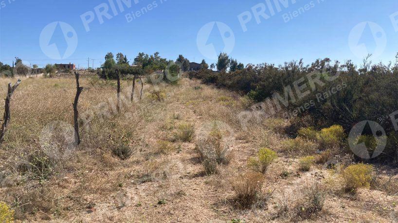 Rancho en Venta en El Hongo PMR-2438