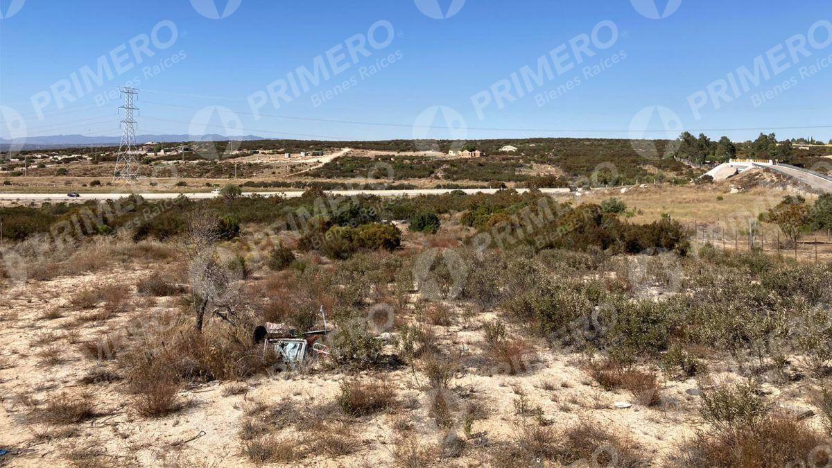 Rancho en Venta en El Hongo PMR-2438