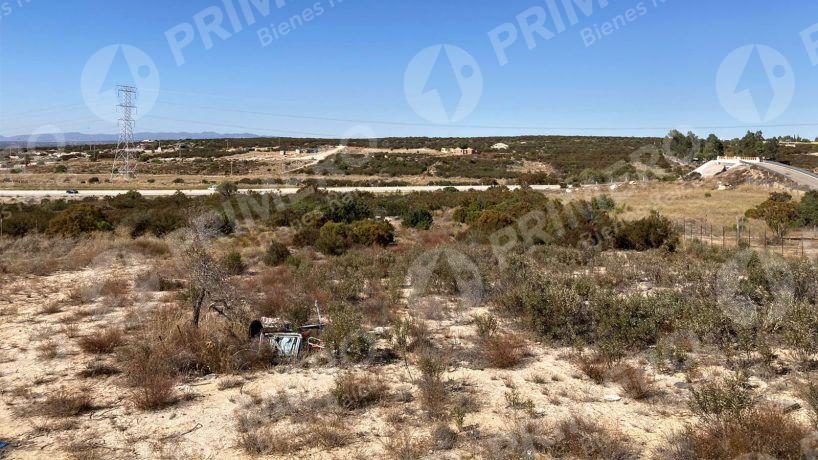Rancho en Venta en El Hongo PMR-2438