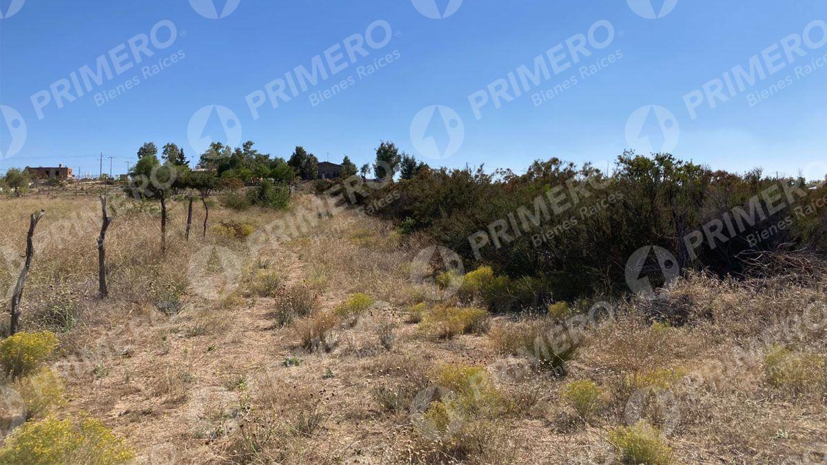 Rancho en Venta en El Hongo PMR-2438